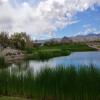 Coyote Springs Golf Club Hole #15 - Greenside - Monday, March 27, 2017 (Las Vegas #2 Trip)