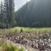  Hole #11 - Greenside - Sunday, August 16, 2026 (Columbia Valley #2 Trip)