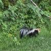  Hole #6 - Wildlife - Sunday, August 16, 2026 (Columbia Valley #2 Trip)