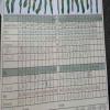 Northern Pines Golf Club - Scorecard - Saturday, June 11, 2016 (Flathead Valley #6 Trip)