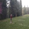 Apple Mountain Golf Resort Hole #17 - Tee Shot - Friday, April 21, 2023 (Sacramento Trip)
