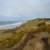 Bandon Dunes (Pacific Dunes) Hole #13 - View Of - Tuesday, February 27, 2018 (Bandon Dunes #1 Trip)