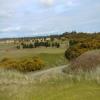 Bandon Dunes (Pacific Dunes) Hole #15 - Greenside - Tuesday, February 27, 2018 (Bandon Dunes #1 Trip)