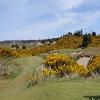 Bandon Dunes (Pacific Dunes) Hole #17 - Tee Shot - Tuesday, April 27, 2021 (Bandon Dunes #2 Trip)