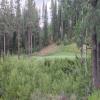 Coyote Moon Golf Course Hole #14 - Greenside - Tuesday, July 22, 2025 (Tahoe Trip)