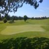  Hole #8 - Greenside - Sunday, June 30, 2019 (Bend #3 Trip)