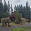 Golf Club at Hawks Prairie (Woodlands) - Clubhouse - Friday, September 13, 2024 (Tacoma Trip)