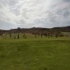 Green Spring Golf Course - Driving Range - Wednesday, April 27, 2022 (St. George Trip)
