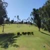 Ka'anapali (Royal Ka'anapali) Hole #15 - Tee Shot - Thursday, February 10, 2022 (Maui #2 Trip)