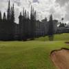 Kapalua (Bay) Hole #15 - Greenside - Saturday, February 5, 2022 (Maui #2 Trip)