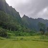 Ko'olau Golf Club Hole #12 - Approach - Wednesday, November 28, 2018 (Oahu Trip)