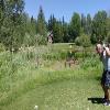 McCall Golf Club (Aspen/Birch) Hole #8 - Tee Shot - Sunday, June 23, 2024 (McCall #1 Trip)