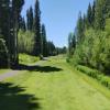 McCall Golf Club (Aspen/Birch) Hole #7 - Tee Shot - Sunday, June 23, 2024 (McCall #1 Trip)