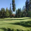 McCall Golf Club (Aspen/Birch) Hole #3 - Greenside - Sunday, June 23, 2024 (McCall #1 Trip)