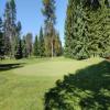 McCall Golf Club (Aspen/Birch) Hole #5 - Greenside - Sunday, June 23, 2024 (McCall #1 Trip)