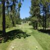 MeadowCreek Golf Resort Hole #15 - Tee Shot - Monday, June 24, 2024 (McCall #1 Trip)