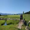 MeadowCreek Golf Resort Hole #2 - Greenside - Monday, June 24, 2024 (McCall #1 Trip)