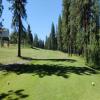 MeadowCreek Golf Resort Hole #5 - Tee Shot - Monday, June 24, 2024 (McCall #1 Trip)