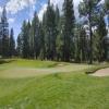 Old Greenwood Golf Course Hole #2 - Greenside - Wednesday, July 23, 2025 (Tahoe Trip)