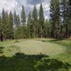 Old Greenwood Golf Course Hole #4 - Greenside - Wednesday, July 23, 2025 (Tahoe Trip)