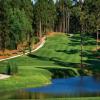 Pinehurst (No. 6) - Preview