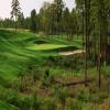 Pinehurst (No. 8) - Preview