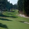 Pinehurst (No. 9) - Preview