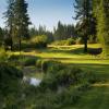 Plumas Pines Golf Resort - Preview