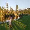 Predator Ridge (Ridge) Hole #15 - Tee Shot - Friday, September 6, 2024 (Kelowna #1 Trip)