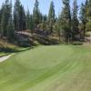 Predator Ridge (Ridge) Hole #8 - Greenside - Friday, September 6, 2024 (Kelowna #1 Trip)