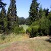  Hole #9 - Tee Shot - Thursday, July 23, 2015