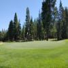 Sunriver Resort (Meadows) Hole #11 - Greenside - Tuesday, July 19, 2022 (Sunriver #2 Trip)