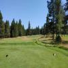 Sunriver Resort (Meadows) Hole #14 - Tee Shot - Tuesday, July 19, 2022 (Sunriver #2 Trip)