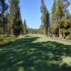 Sunriver Resort (Meadows) Hole #8 - Tee Shot - Tuesday, July 19, 2022 (Sunriver #2 Trip)