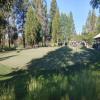 Practice Green - Monday, July 18, 2022 (Sunriver #2 Trip)