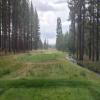 The Golf Club at Gray's Crossing Hole #17 - Tee Shot - Saturday, July 26, 2025 (Tahoe Trip)