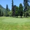 Three Nines Golf Course (Thistle/Pine Cone) Hole #11 - Greenside - Sunday, June 29, 2025 (Hood River Trip)