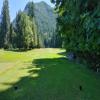 Three Nines Golf Course (Thistle/Pine Cone) Hole #11 - Tee Shot - Sunday, June 29, 2025 (Hood River Trip)