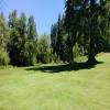 Three Nines Golf Course (Thistle/Pine Cone) Hole #12 - Approach - Sunday, June 29, 2025 (Hood River Trip)