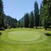 Three Nines Golf Course (Thistle/Pine Cone) Hole #14 - Greenside - Sunday, June 29, 2025 (Hood River Trip)