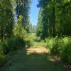Three Nines Golf Course (Thistle/Pine Cone) Hole #14 - Tee Shot - Sunday, June 29, 2025 (Hood River Trip)