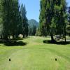 Three Nines Golf Course (Thistle/Pine Cone) Hole #17 - Tee Shot - Sunday, June 29, 2025 (Hood River Trip)