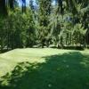 Three Nines Golf Course (Thistle/Pine Cone) Hole #8 - Greenside - Sunday, June 29, 2025 (Hood River Trip)