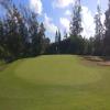 Turtle Bay (George Fazio) Hole #14 - Greenside - Monday, November 26, 2018 (Oahu Trip)