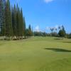 Turtle Bay (George Fazio) Hole #16 - Greenside - Monday, November 26, 2018 (Oahu Trip)