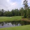 Waldorf Astoria Golf Club Hole #3 - Greenside - Monday, June 10, 2019 (Orlando Trip)